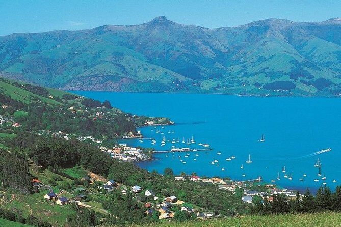 Akaroa Full Day Sightseeing Tour from Christchurch - The Guides and Transportation: Why They Matter