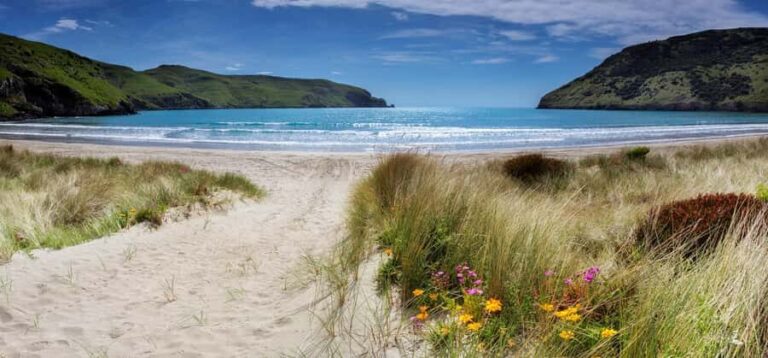 Akaroa: Lonely Beach Trail by E-Scooter. selfguided day out - The Highlights of the Day
