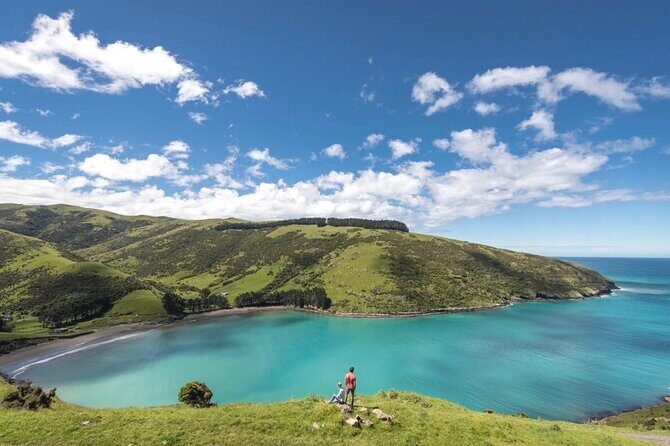 Akaroa Private Day Tour from Christchurch - Starting with a scenic drive from Christchurch