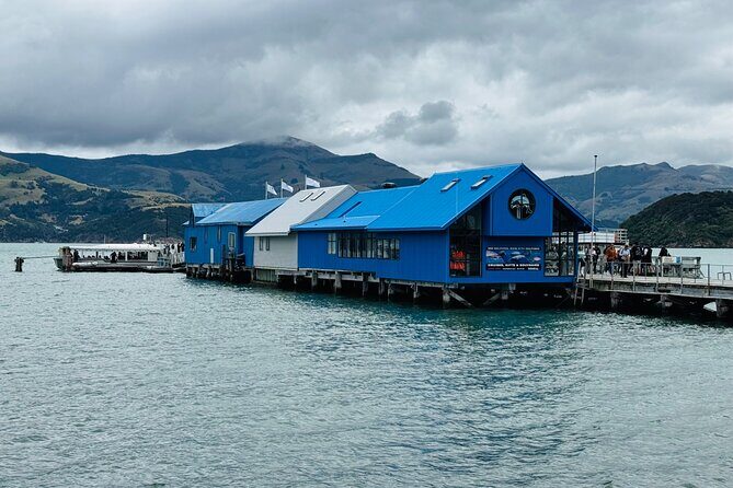 Akaroa Private Group Day Trip from Christchurch - Practical Details and Tips