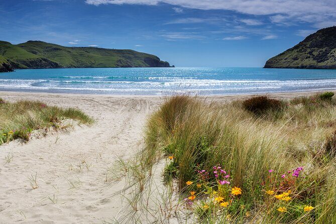 Akaroa Self Guided Electric Scooter Tour - The Itinerary: A Day Well Spent