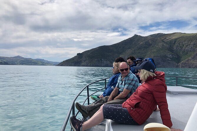 Akaroa Wildlife Cruise - The Experience: What You Can Expect from the Akaroa Wildlife Cruise