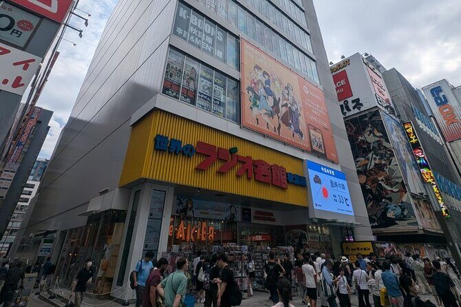 Akihabara Anime and Pop Culture Walking Tour - Who Will Love This Tour?