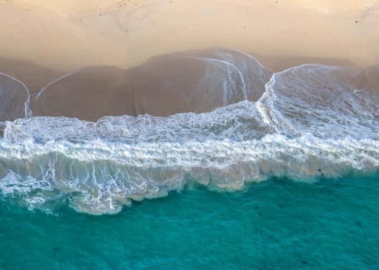 Albany: 30 min scenic helicopter flight - The Experience: What to Expect