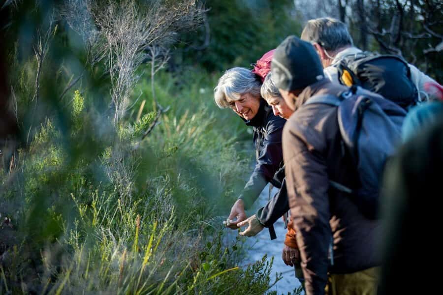 Albany: Lighting the Sound Twilight Hike - The Itinerary in Detail