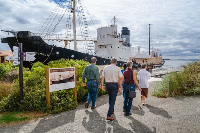 Albany's Whale Story - What You’ll Love About This Tour
