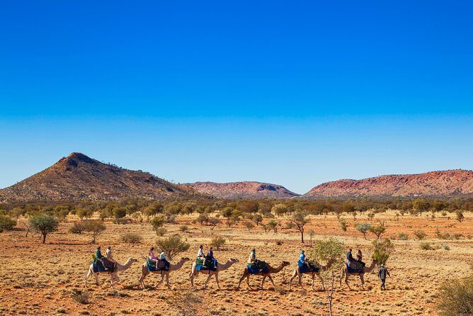 Alice Springs Camel Tour - Who Is This Tour Best For?