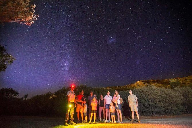 Alice Springs Desert Park Nocturnal Tour - Practical Details and Tips