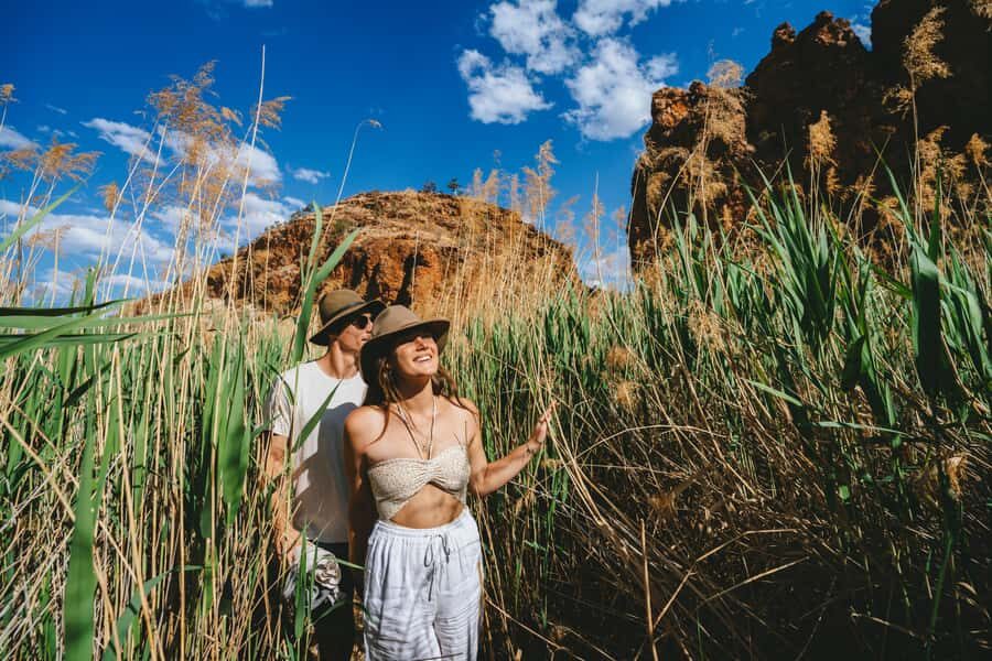 Alice Springs: Larapinta Hiking Trail 5 Day Adventure Safari - Transport, Accommodation, and Practicalities