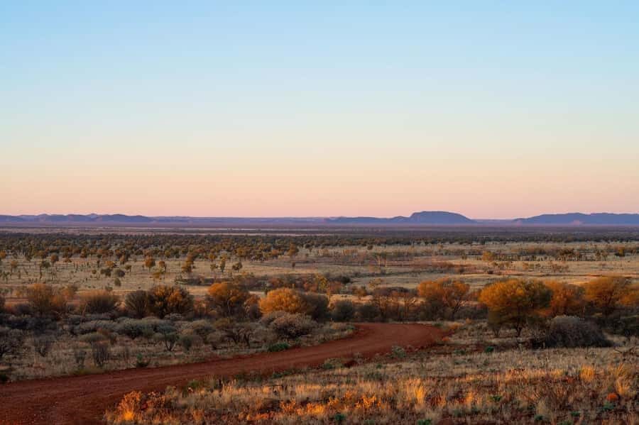 Alice Springs: Red Centre Journey Tour with Morning Tea - The Value of This Tour