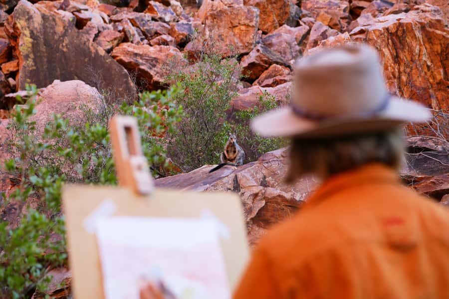 Alice Springs: Simpsons Gap Sunset Watercolor Painting Class - What to Expect on the Tour