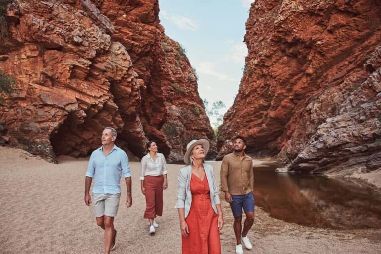 Alice Springs: West MacDonnell Ranges & Standley Chasm Tour - The Experience for Different Types of Travelers