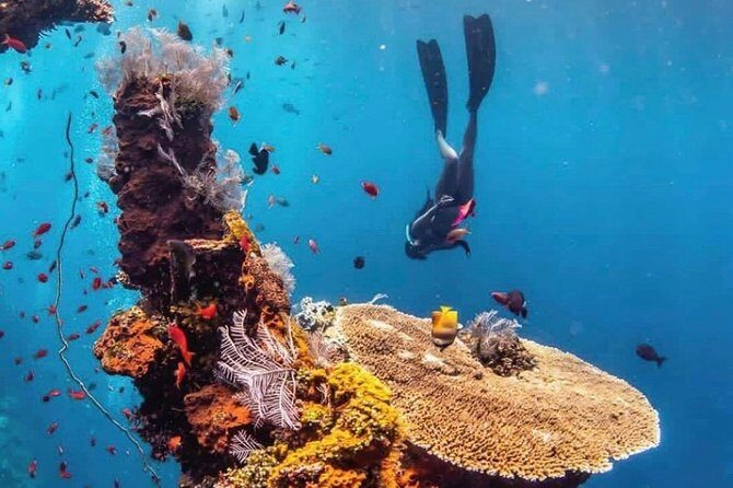 All Inclusive Bali Scuba Diving at Tulamben with Lunch -Transport - Why This Tour Works Well