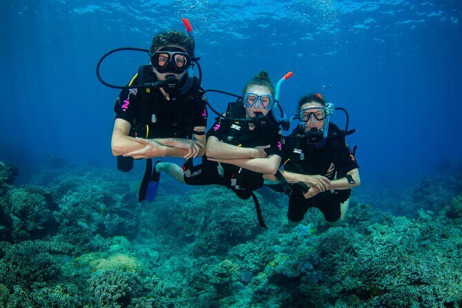 All Inclusive Great Barrier Reef Cruise w optional Scuba Diving - FAQs
