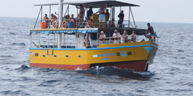 All Inclusive Mirissa Whale and Dolphin Watching Boat Ride - Exploring the Experience