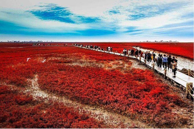 All-Inclusive Private Day Tour to Red Beach in Panjin City - Practical Details and What to Expect