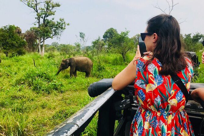 All Inclusive Private Safari at Habarana Park (Pick-up Included) - Why This Tour Stands Out