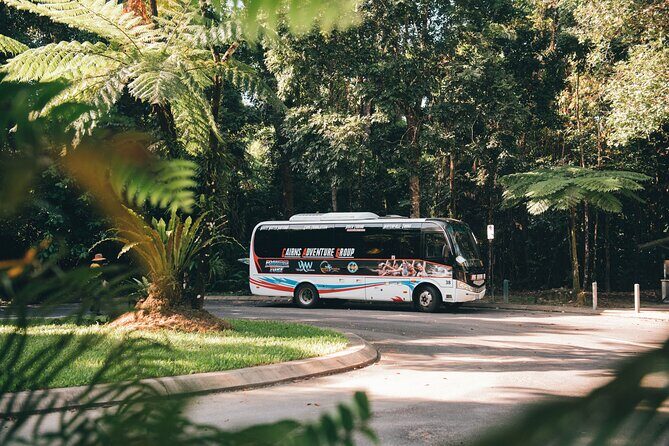 All Inclusive Waterfalls and Rainforest Tour from Cairns - Who Should Consider This Tour?
