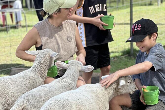 Alpaca Feeding with Wildlife and Nature Park Visit Private Tour - In-Depth Look at the Itinerary