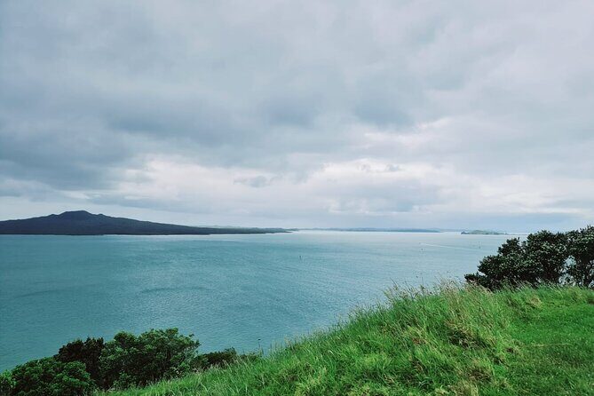 Amazing Auckland City Half Day Guided Tour - The Value of the Tour: Price and Experience
