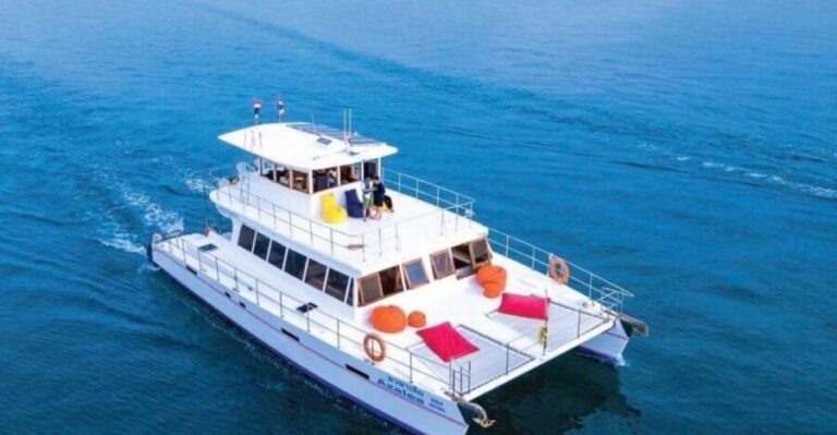Amazing Coral Island & Sunset Dinner with Power Catamaran - Who Is This Tour Best For?