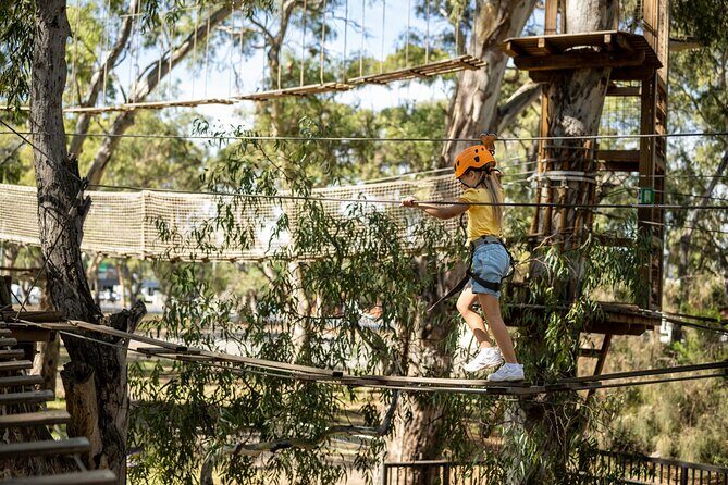 An exciting, Tree Top Adventure for Our Littlest Adventurers - The Course Progression and Activities