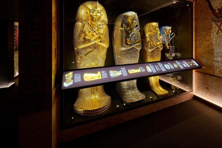 Ancient Egypt Night Tour in the heart of Cairns - Who Should Consider This Tour?