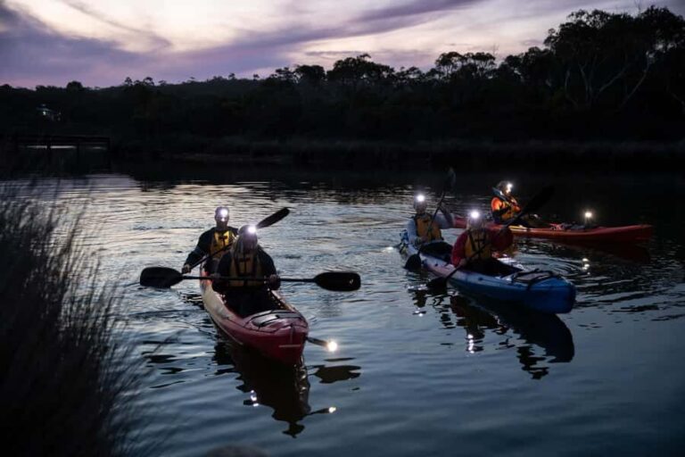 Anglesea: Night Kayaking Tour Under the Stars - Practical Details for Your Night Paddle