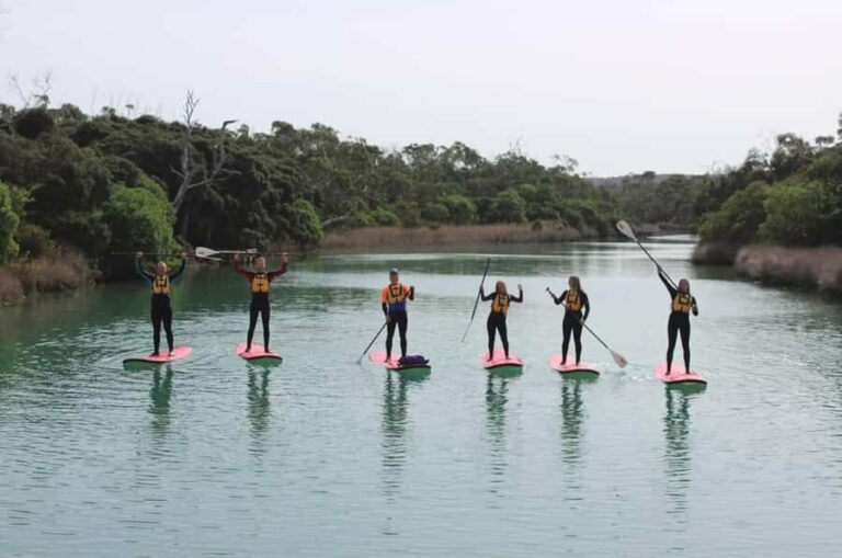 Anglesea: Stand-Up Paddleboard Lesson on the River - The Itinerary: A Closer Look