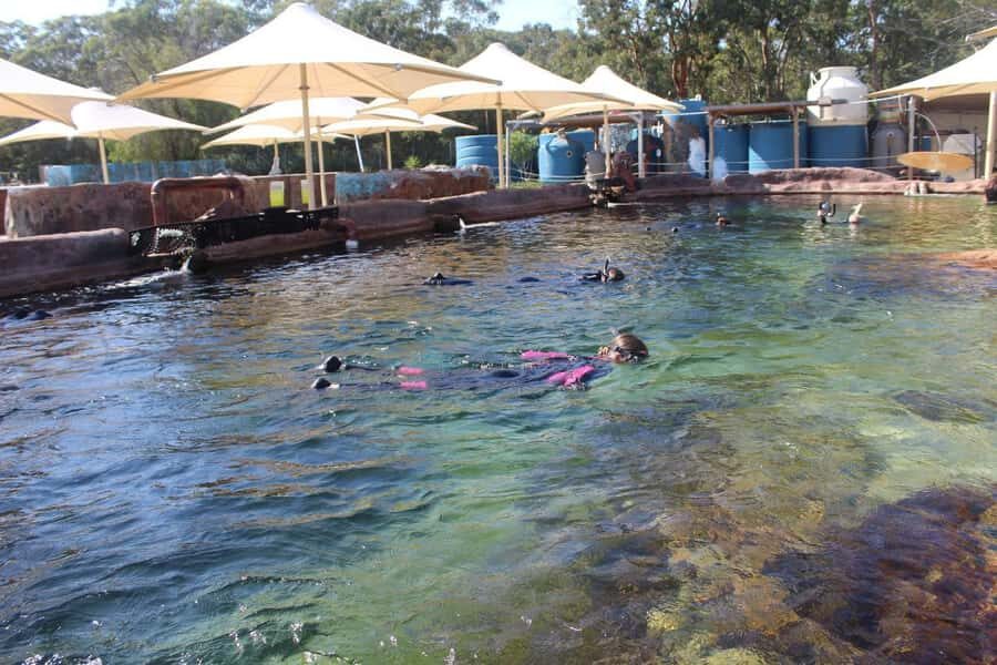 Anna Bay: Irukandji Entry + Coastal Currents Snorkel - The Logistics: Timing, Group Size, and Equipment