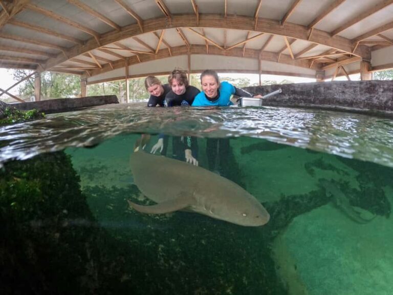 Anna Bay: Irukandji Entry Pass with Reef Shark Encounter - The Guided Tour and What It Means for You
