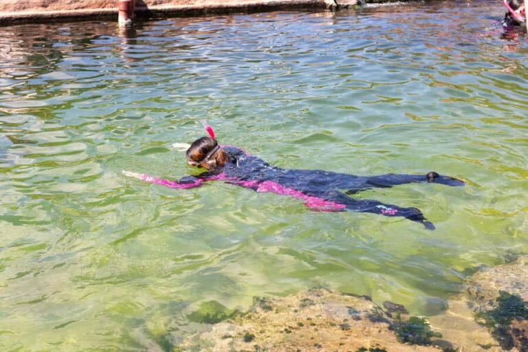 Anna Bay: Irukandji Entry Pass with Reef Shark Snorkel - The Logistics and Practicalities