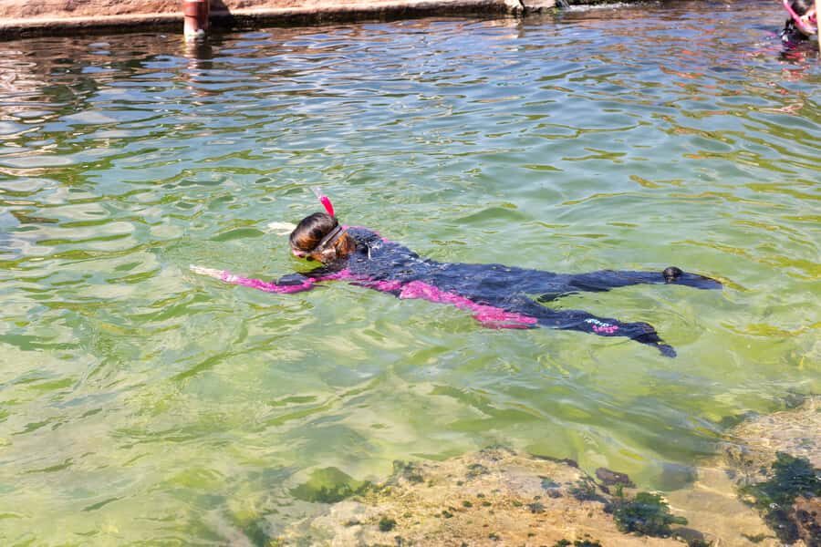 Anna Bay: Irukandji Entry Pass with Reef Shark Snorkel - The Logistics and Practicalities