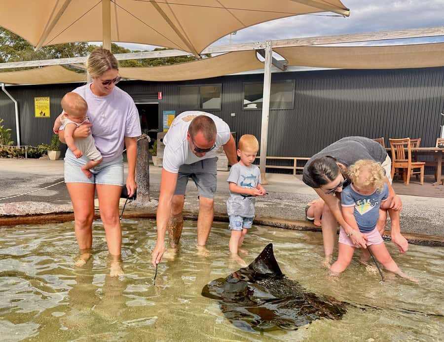 Anna Bay: Irukandji Entry Pass with Shallows Encounter - The Lagoon Experience: What’s in Store