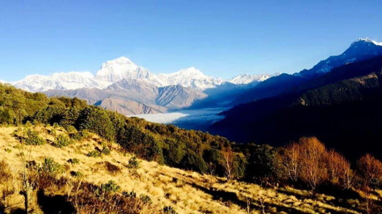 Annapurna Trek with Throng-la Pass - Day-by-Day Breakdown