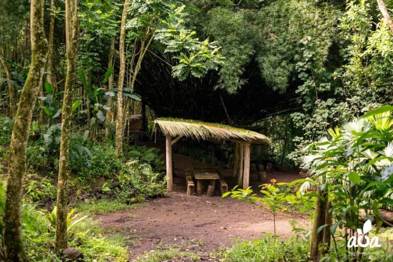AOA Polynesian Forests - Educational Forest and Scavenger Hunt, Tahiti, West Coast - What to Expect During Your Visit