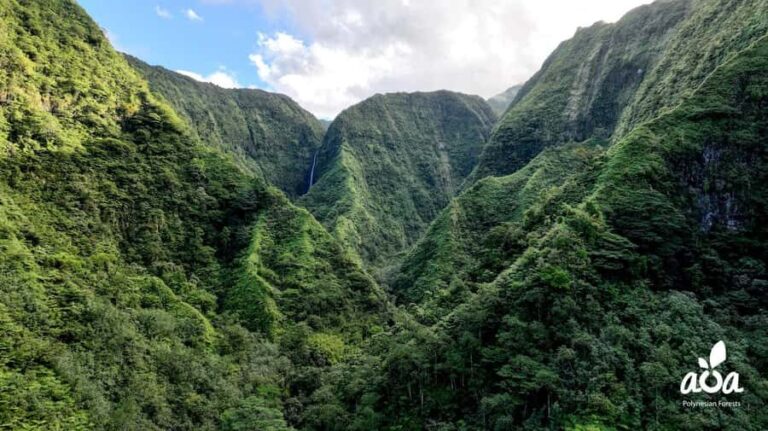 AOA Polynesian Forests - Tahiti Biodiversity Sanctuary Hike - The Practical Side: Logistics & Value
