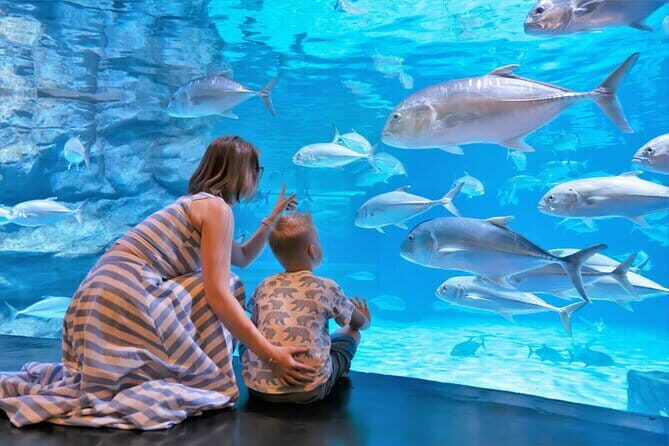 Aquaria Phuket and 4D Trickeye Museum Experience Ticket - Practical Considerations: Pricing, Timing, and Booking