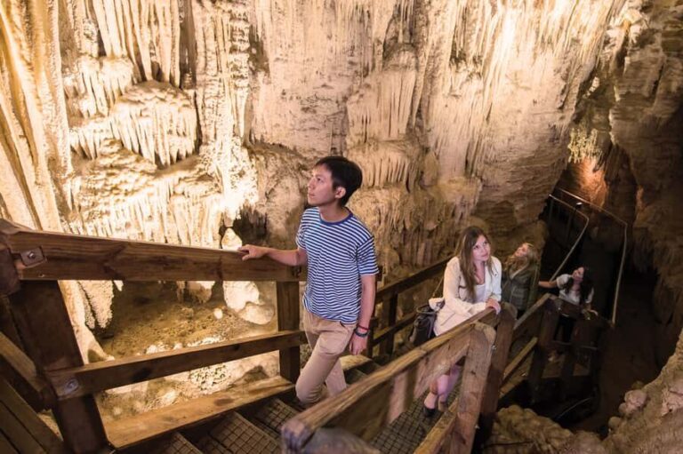 Aranui Cave 1-Hour Guided Tour - Why You Should Consider This Tour