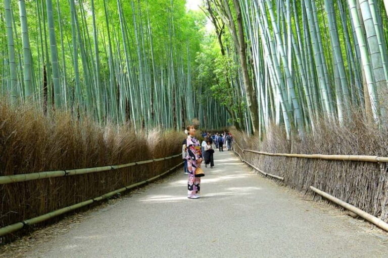 Arashiyama Highlights with Matcha Experience - Part 1: Exploring Arashiyamas Scenic and Cultural Highlights