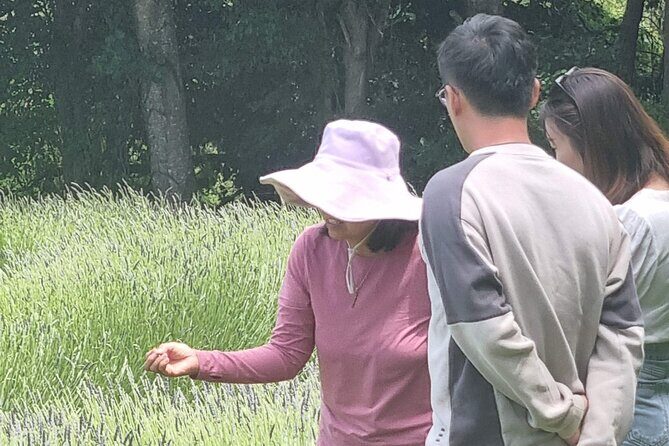 Arataki Conservation - our Journey to Protect our Whenua (land) - Exploring the Itinerary in Detail