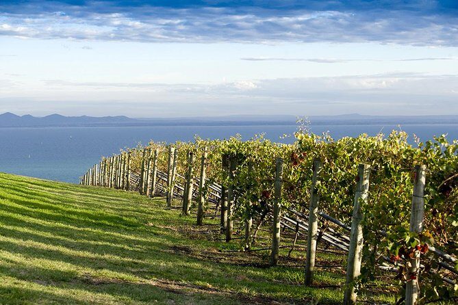 Around the Bay Food and Wine Taste Trail - What to Expect and Why It Matters