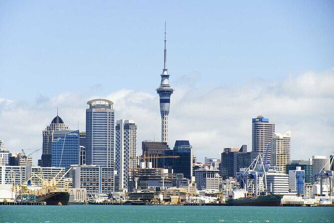 Arrival Private Transfer from Auckland Airport AKL to Auckland in Luxury Van - Who Will Love This Service?