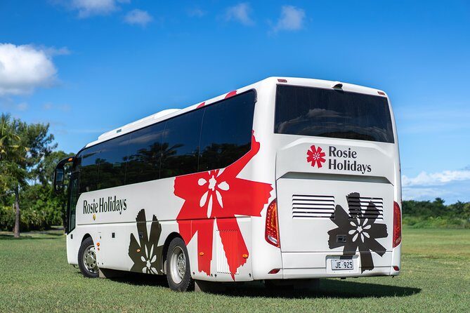 Arrival Shared Transfer : Airport to Hotel - Authenticity and Guest Experience