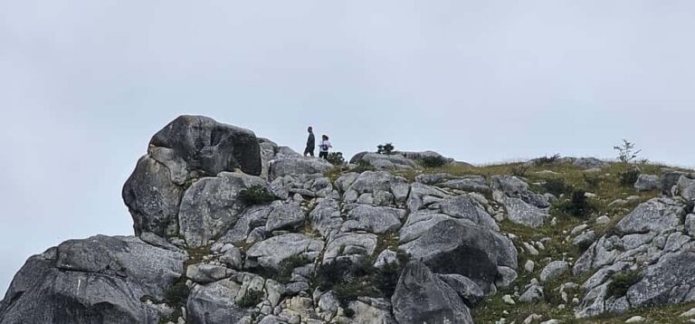 Arthurs Pass Alpine Explorer Day Tour from Christchurch - Who Will Appreciate This Tour?