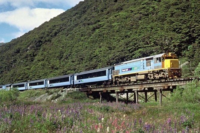 Arthur's Pass and TranzAlpine Train Day Tour from Christchurch - Price and Value