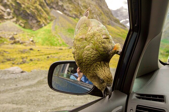 Arthurs Pass Day Tour From Christchurch With Jet Boat - Transportation and Group Size