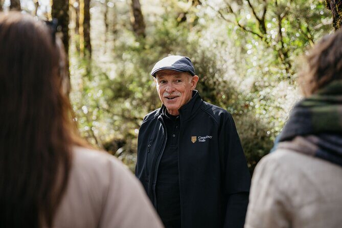 Arthur's Pass Discovery and TranzAlpine Train - Small Group Tour - Practical Considerations