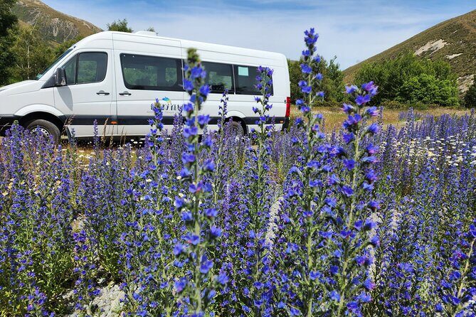 Arthurs Pass Tour From Christchurch With Jet Boat & TranzAlpine - Weather and Practical Tips