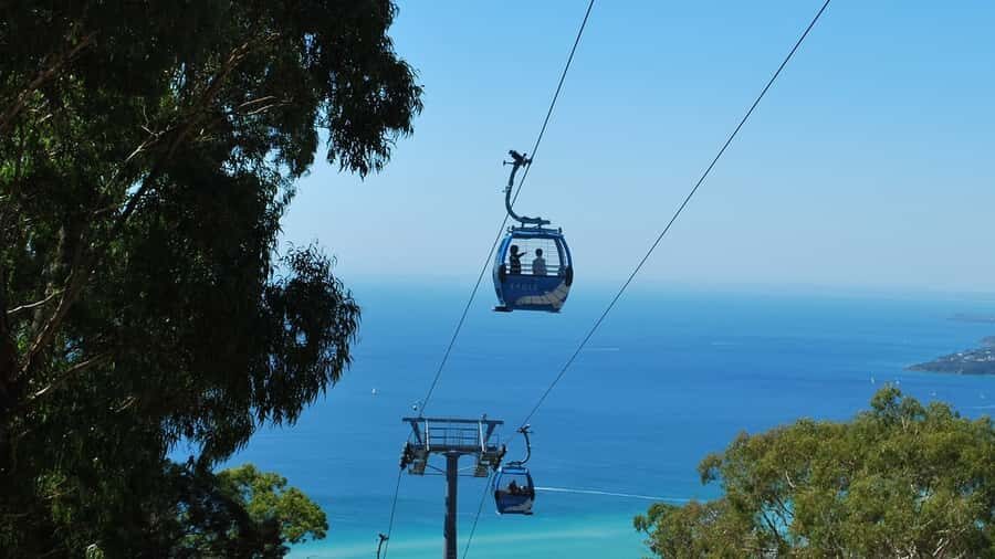Arthurs Seat Eagle: Scenic Gondola Ride - Authentic Experiences and Authenticity